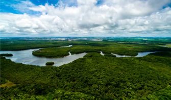 Crear el bloque amazónico, la apuesta de Colombia en la COP27