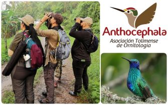 Colombia en el 2022 ocupa el primer puesto a nivel mundial en avistamiento de aves